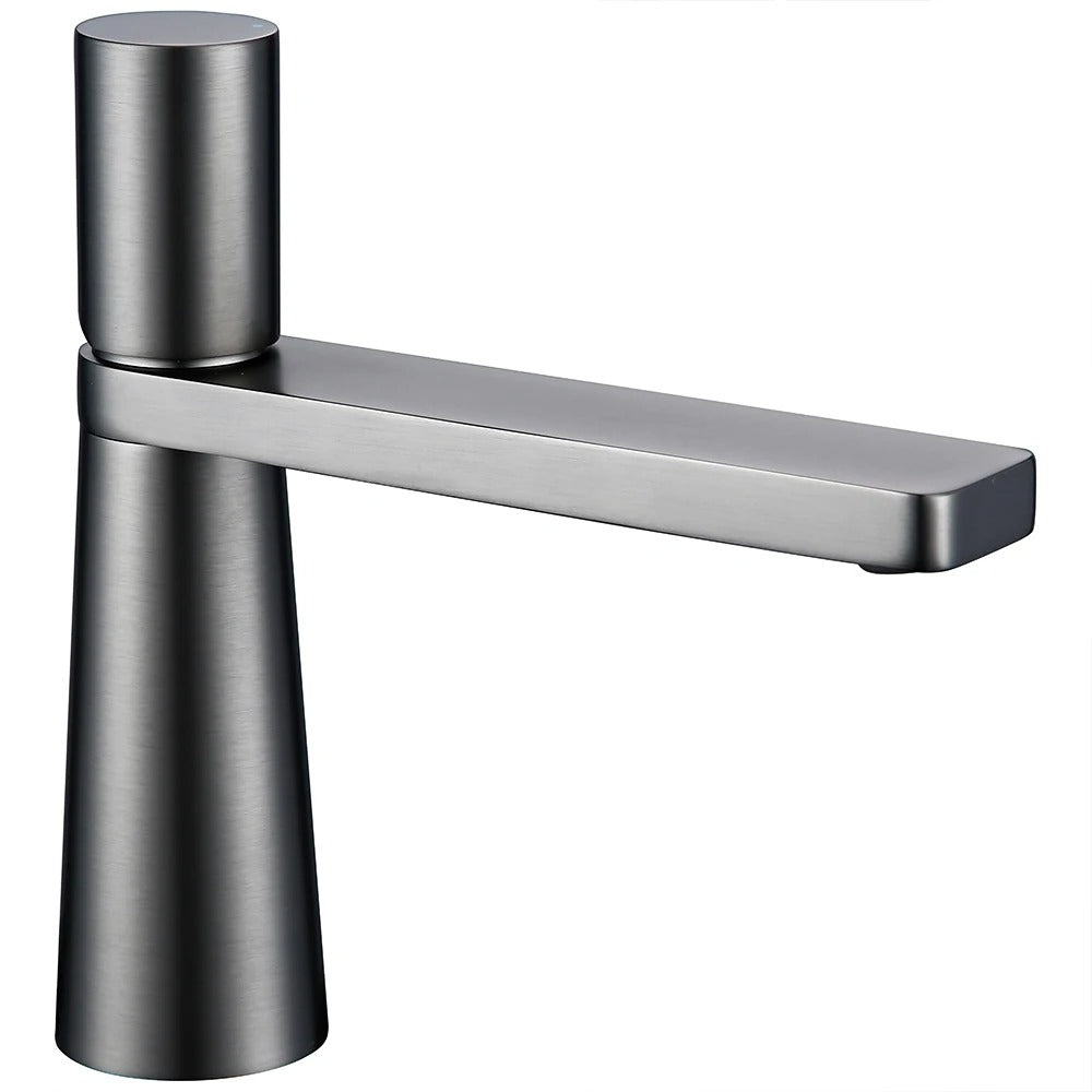 LEONARD | Gunmetal Black Basin Faucet