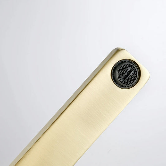 LEONARD | Matte Black Basin Faucet