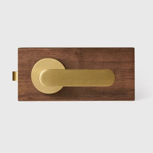 Antique brass door lever handle close-up showing smooth plain profile and corrosion-resistant finish