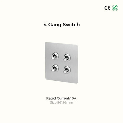 CAMDEN | Silver Toggle Switch