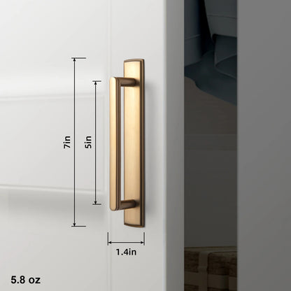 LEWIS | Antique Brass Handle with Backboard