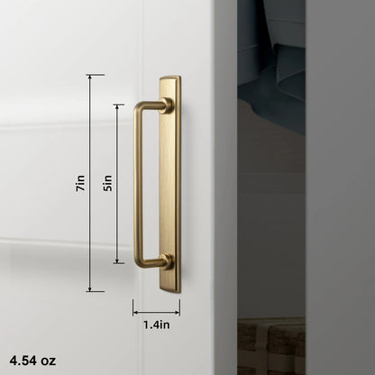 TONI | Antique Brass Handle with Backboard