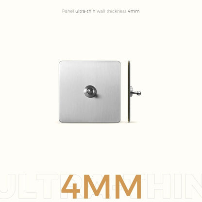 CAMDEN | Silver Toggle Switch