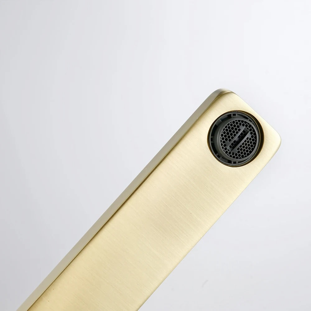 LEONARD | Gunmetal Black Basin Faucet