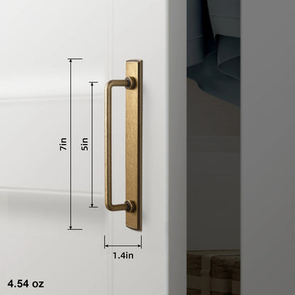 TONI | Antique Brass Handle with Backboard