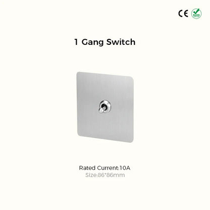 CAMDEN | Silver Toggle Switch