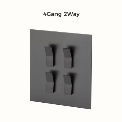 WINDSOR | Stainless Steel Switch Plate